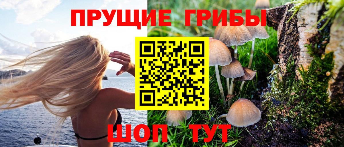 Псилоцибиновые грибы GOLDEN TEACHER  Вход с VPN  Галлюциногенные грибы MAGIC MUSHROOMS  сколько стоит  Дальнегорск 
